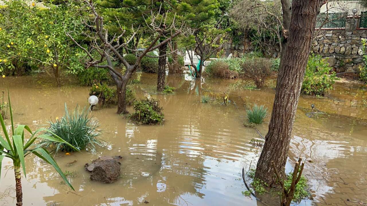 Bodrum’da Selin Tablosu Gün Ağarınca Ortaya Çıktı 8